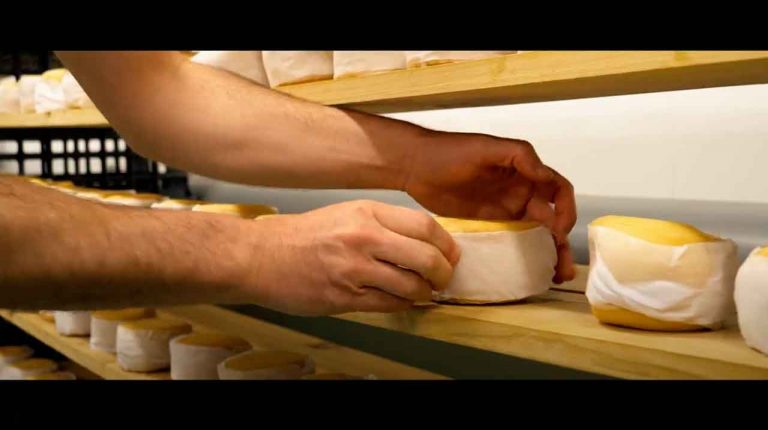 spot vídeo publicidad seminci tierra de sabor